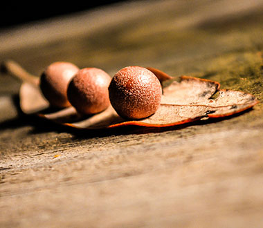 DDOS压力测试网页端