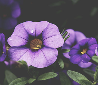 【在线云端版】即点即用的网络ddos攻击软件